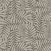 Espresso Fern