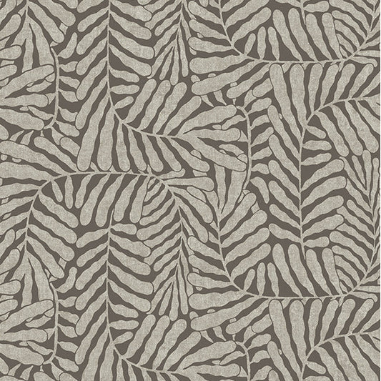 Espresso Fern