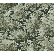 Deciduous Greenwood in Dark Green