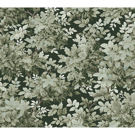 Deciduous Greenwood in Dark Green