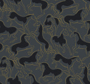Dressage Gold Stallions
