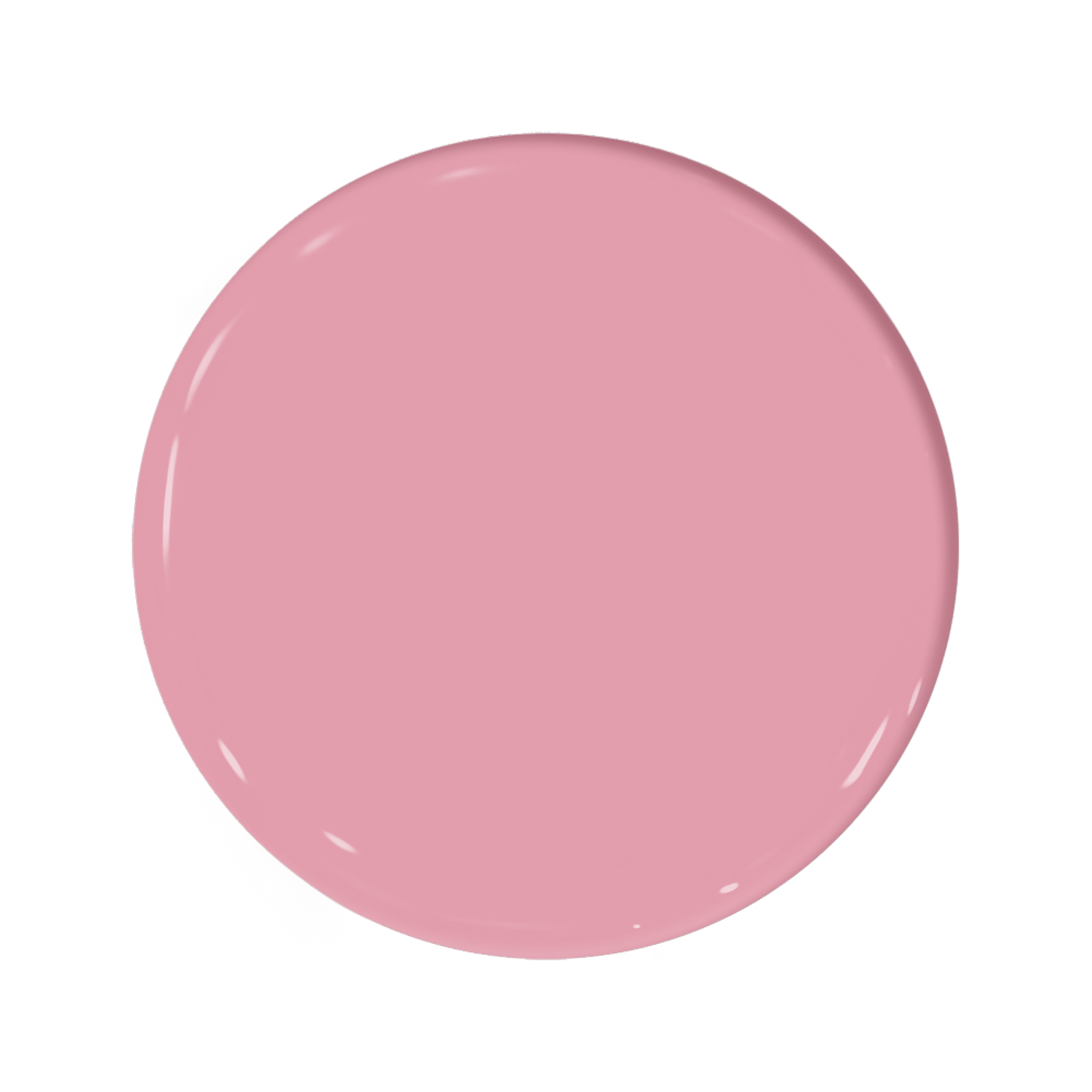 Turkey Wattle