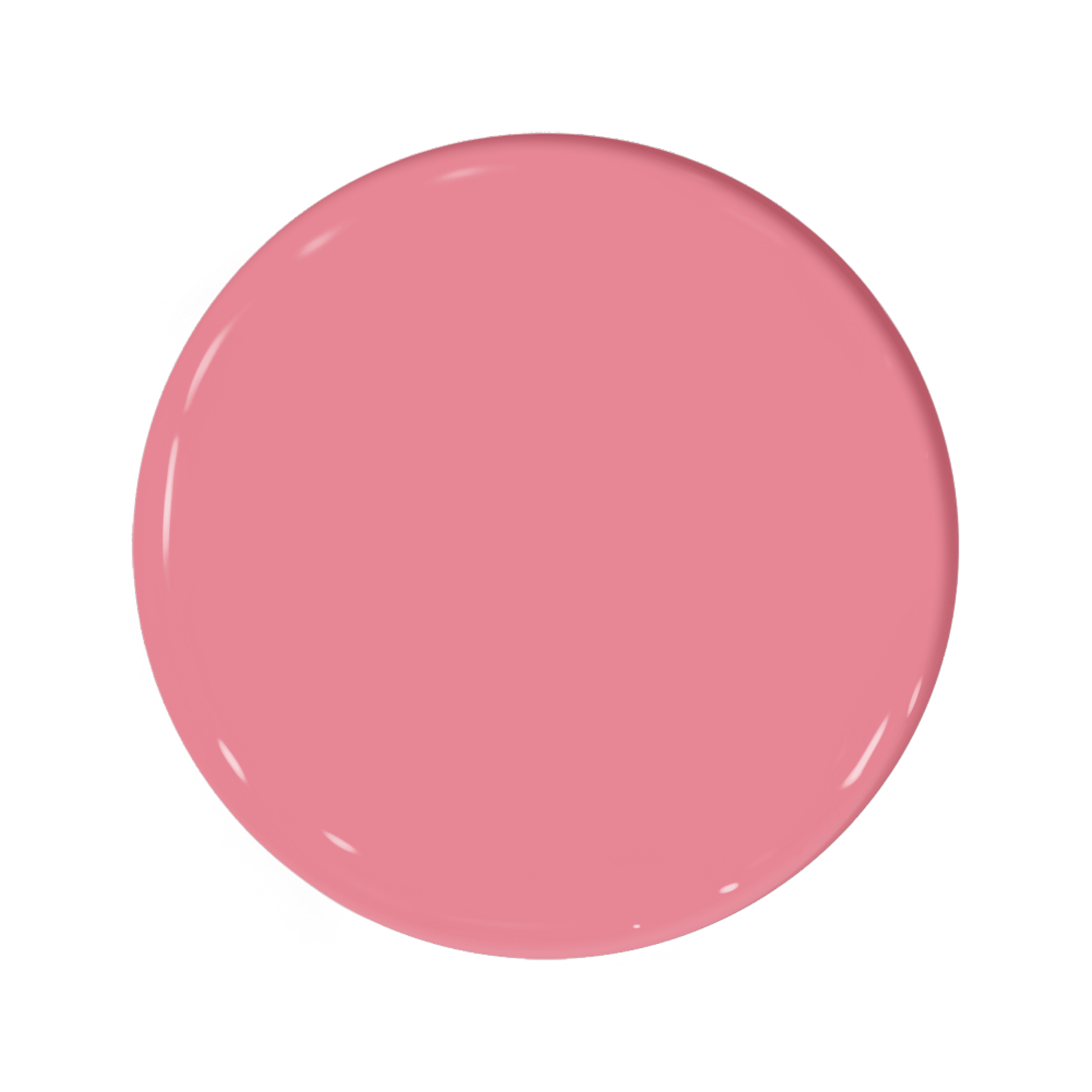Calf's Snout