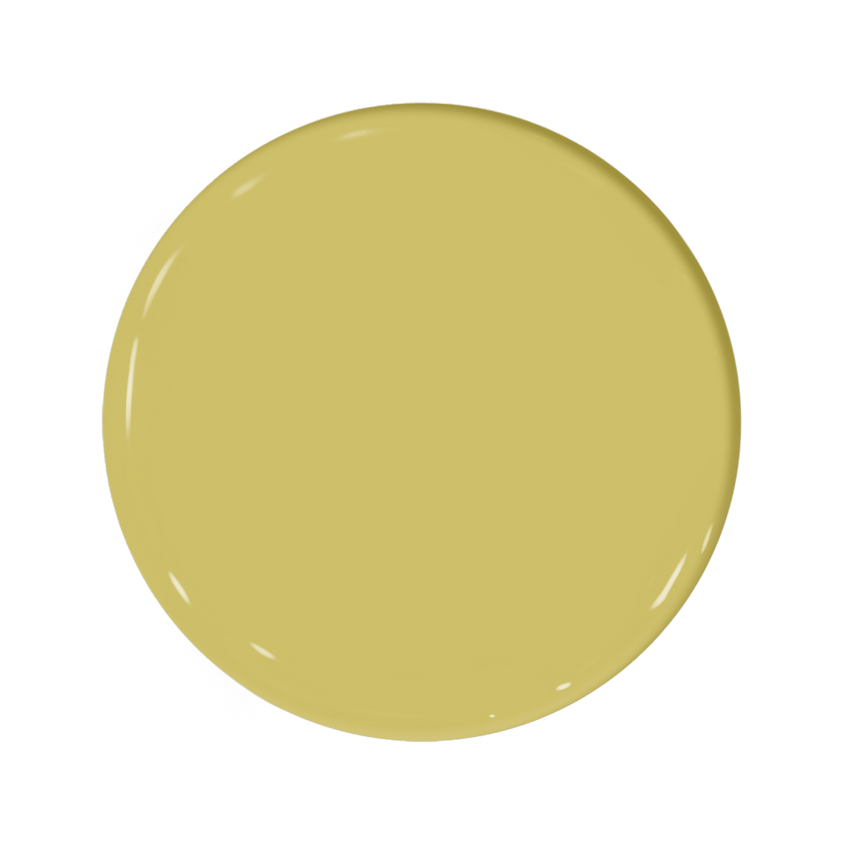 Viburnum
