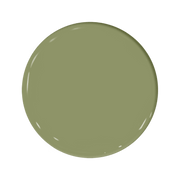 Savoy Cabbage
