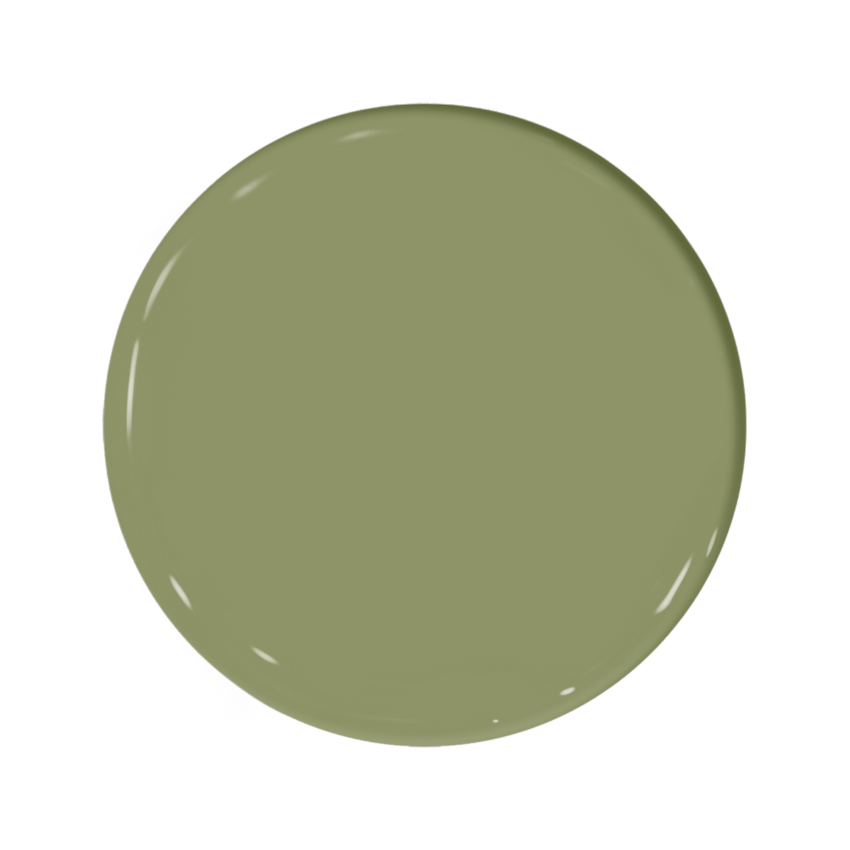 Savoy Cabbage
