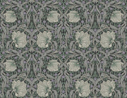 English Pimpernel