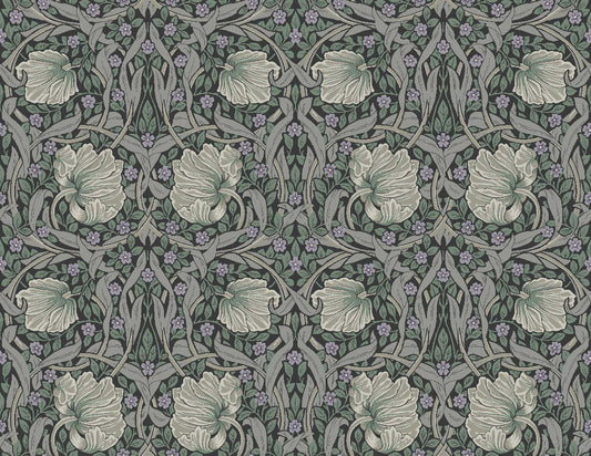 English Pimpernel