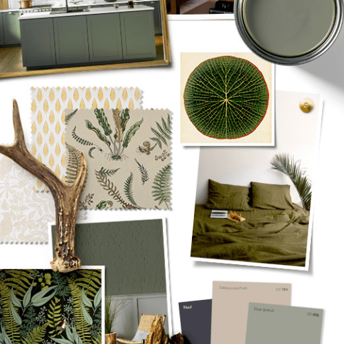 Olive Branch