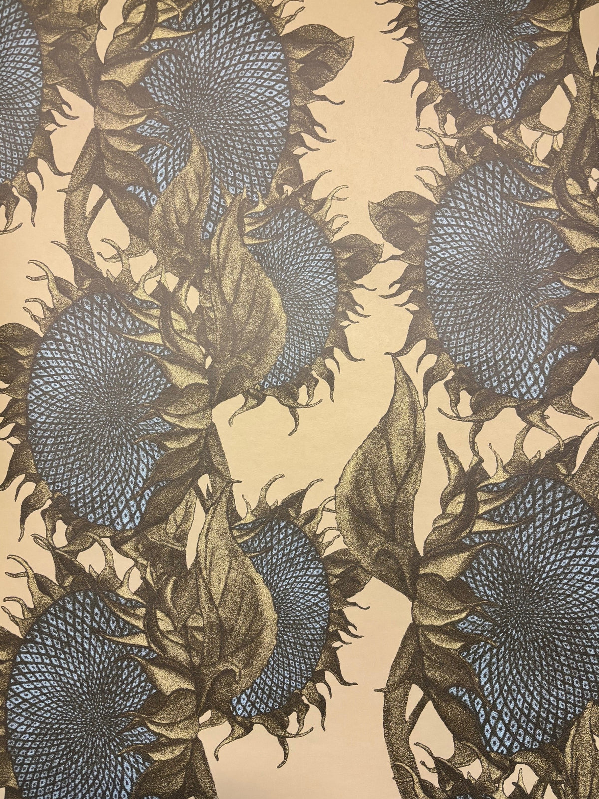Vera Sunflower