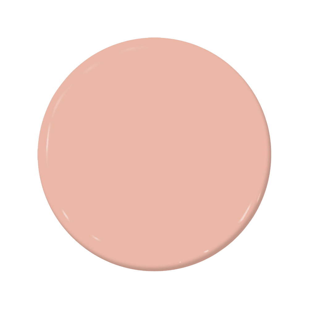 Tomfoolery - C2-544-C2 Paint