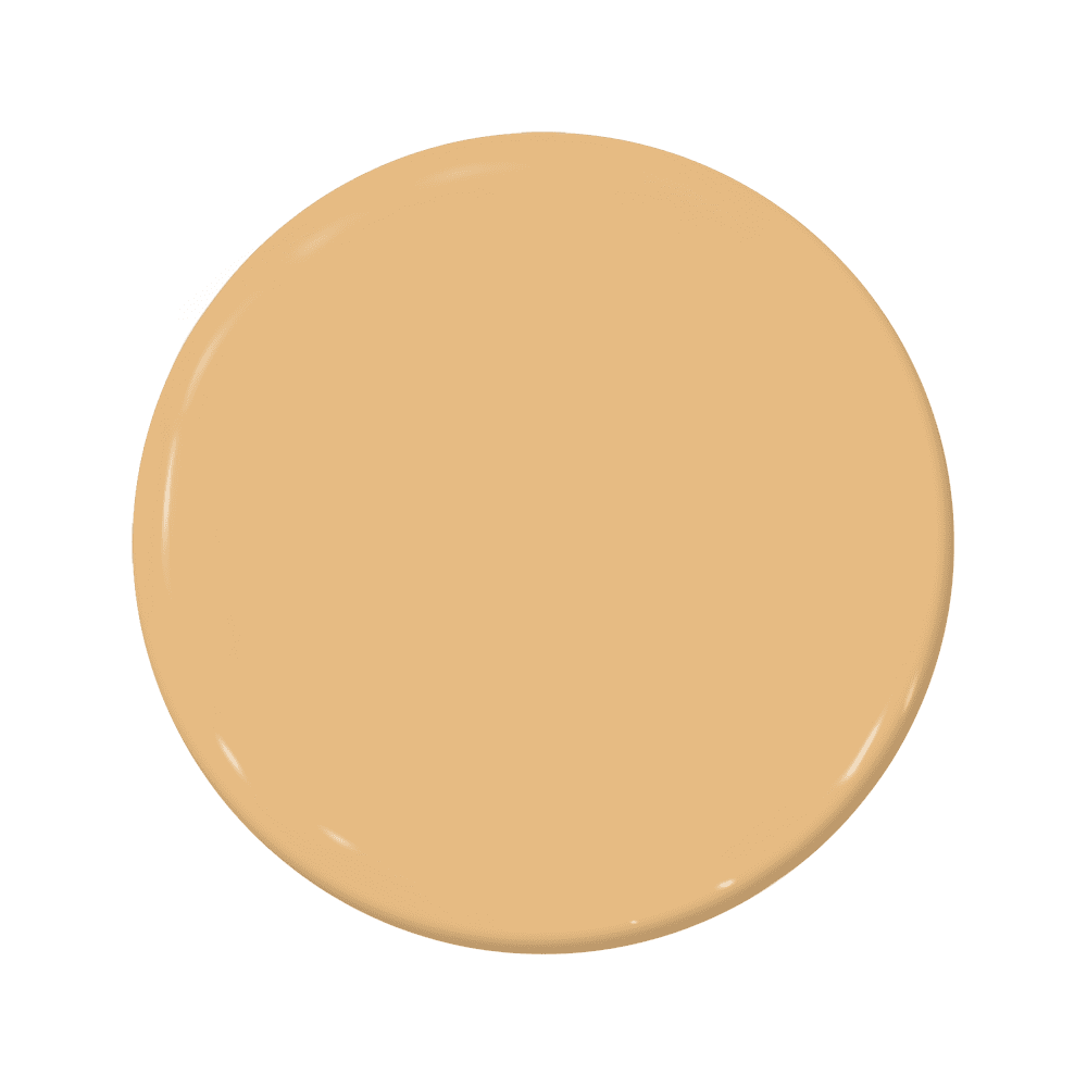 Radiate - C2-560-C2 Paint