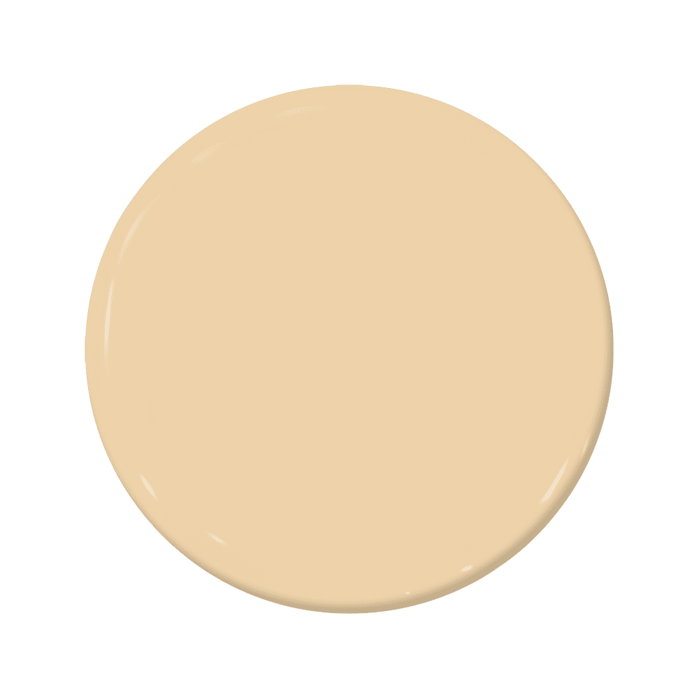 Labrador - C2-561-C2 Paint