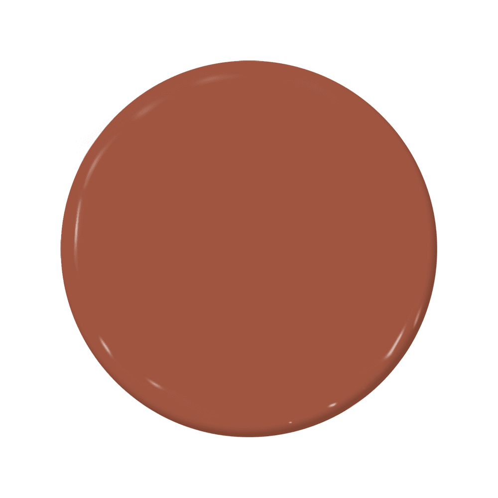 Roasted Tomato - C2-583-C2 Paint