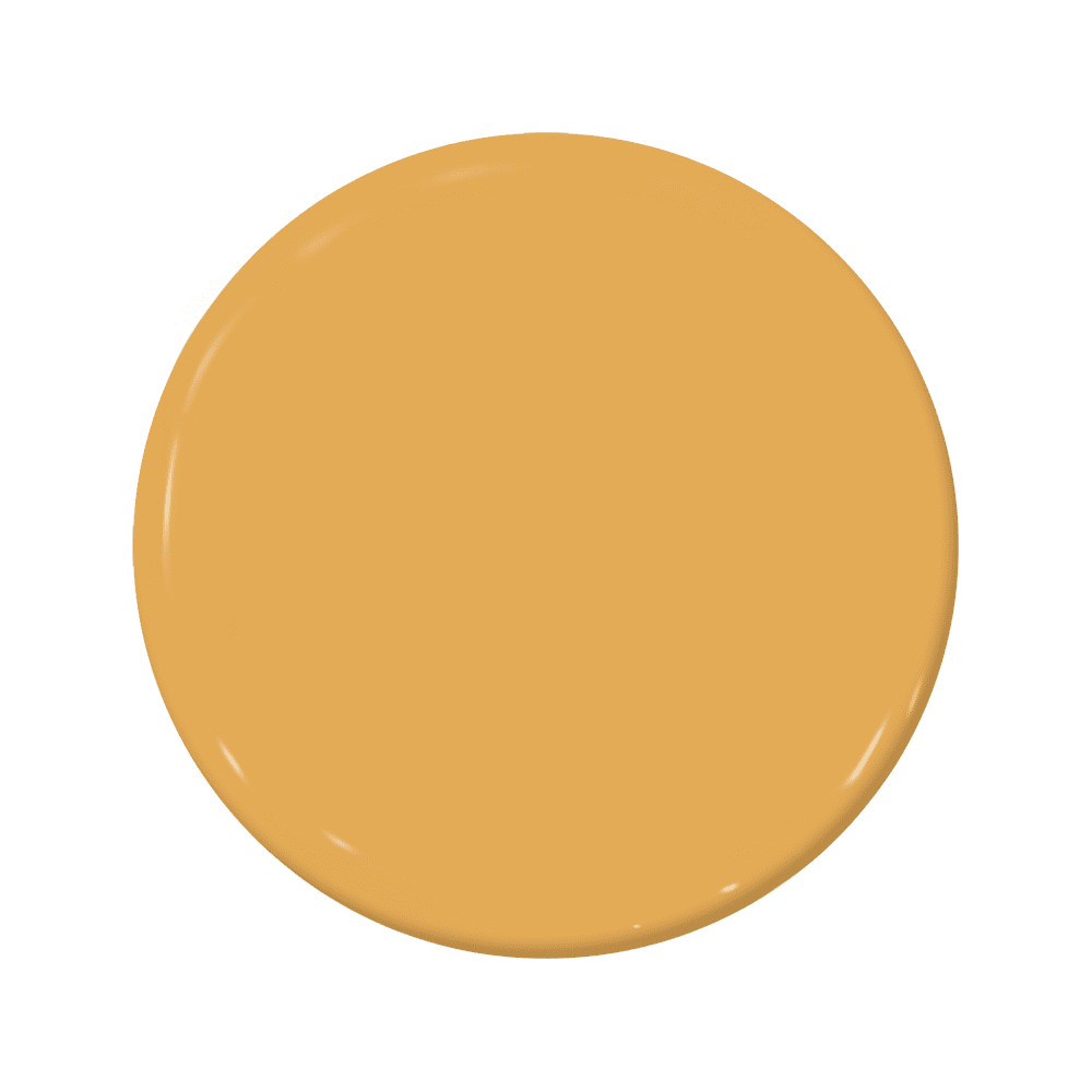 Amontillado - C2-589-C2 Paint