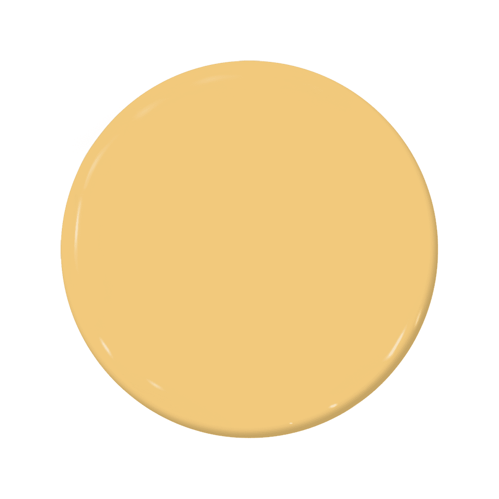 Bonjour - C2-590-C2 Paint