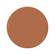 Tortoise - C2-616-C2 Paint
