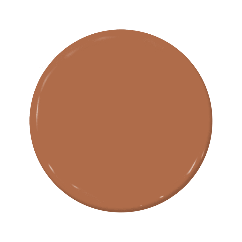 Tortoise - C2-616-C2 Paint