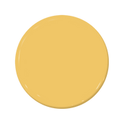 Daffodil - C2-620-C2 Paint