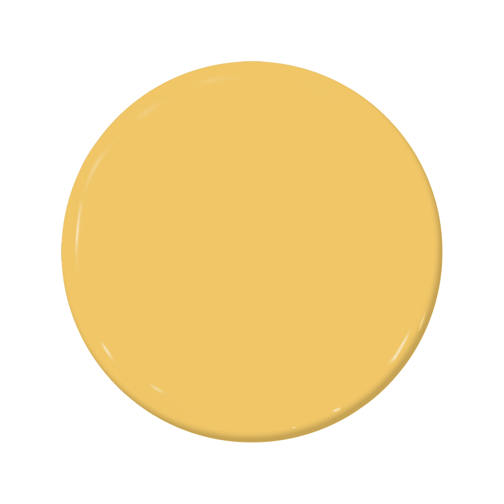 Daffodil - C2-620-C2 Paint