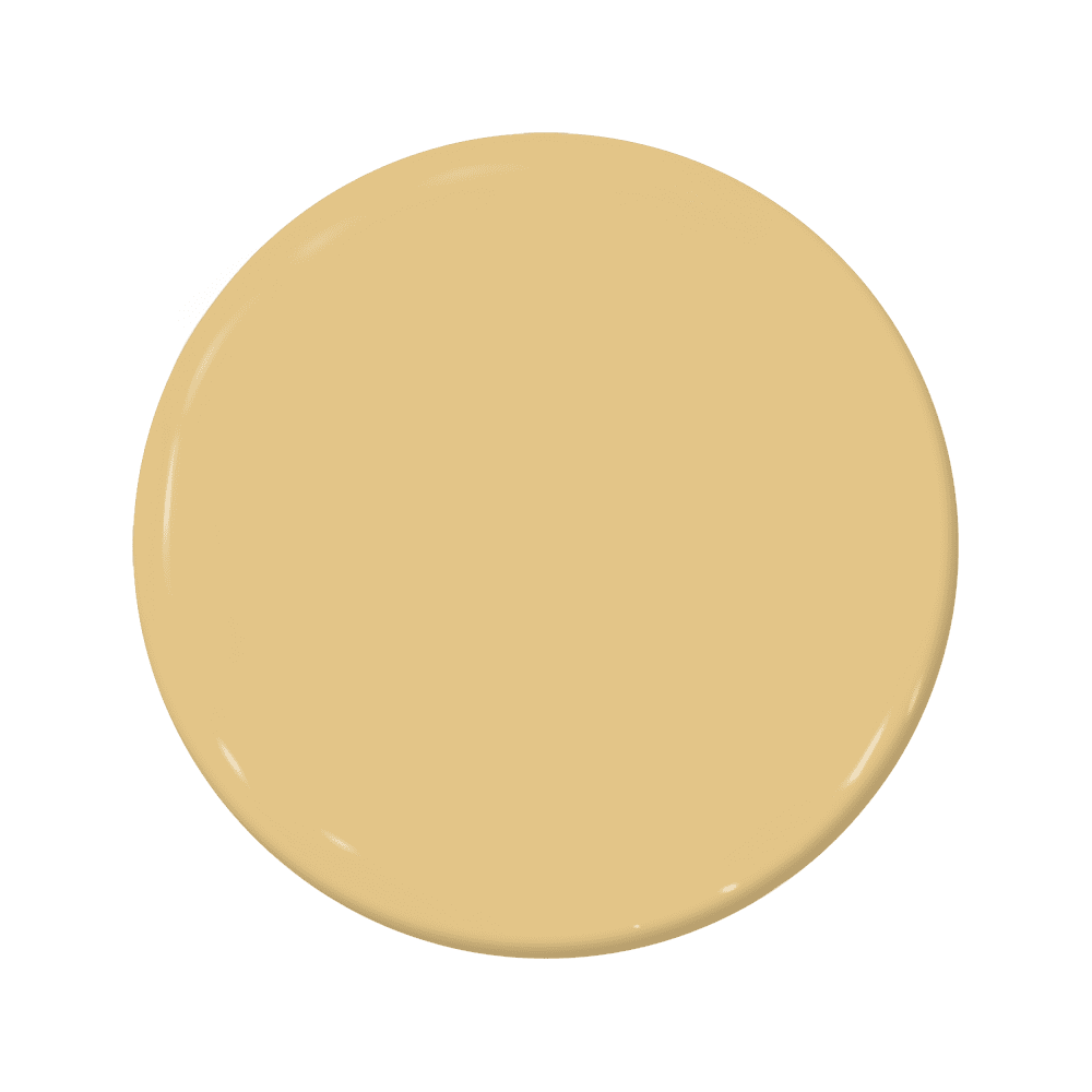 Pale Ale - C2-622-C2 Paint