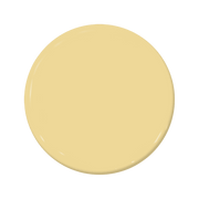 Shine - C2-623-C2 Paint