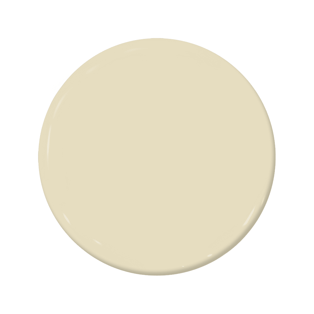 Buzz - C2-627-C2 Paint