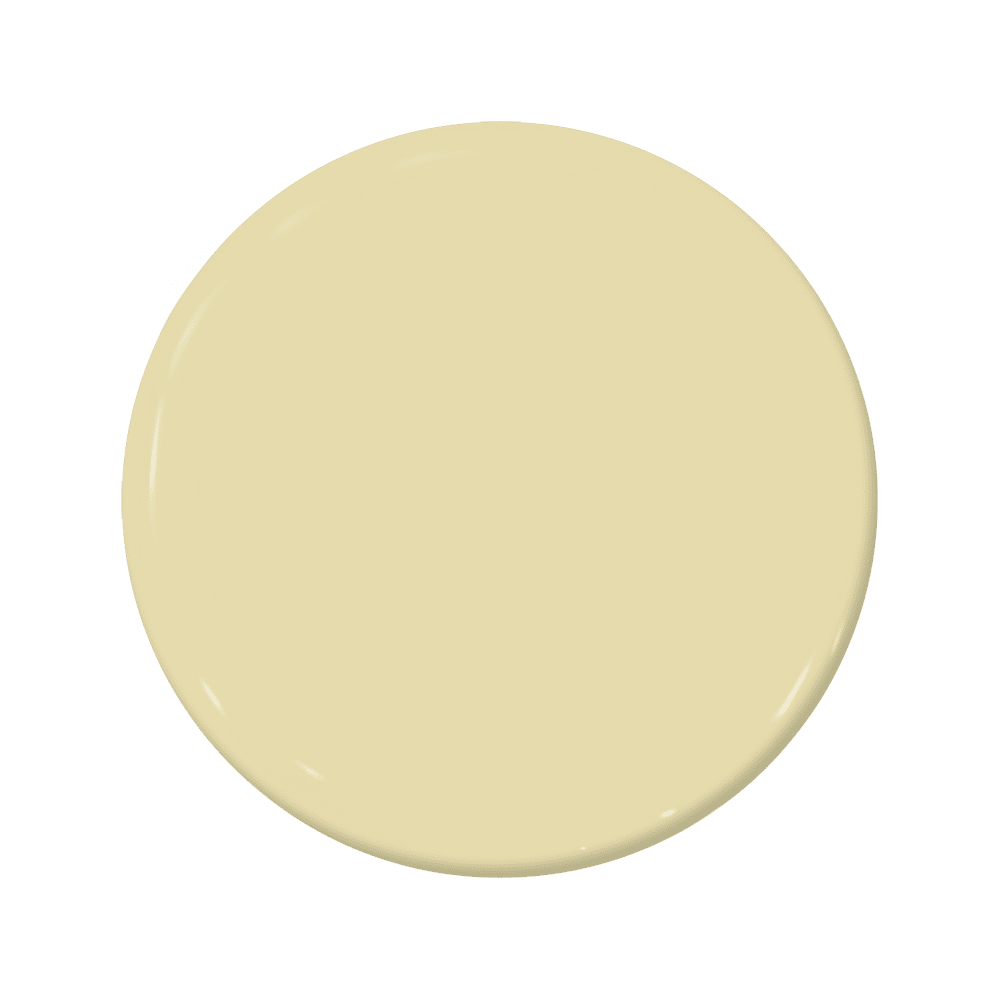 Bees Knees - C2-642-C2 Paint