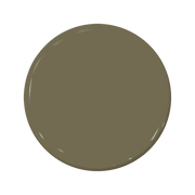 Turtleback - C2-645-C2 Paint