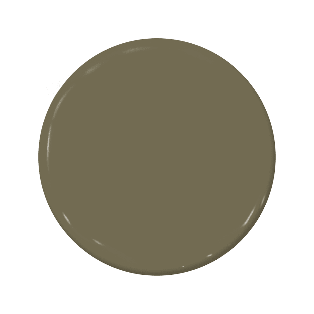 Turtleback - C2-645-C2 Paint