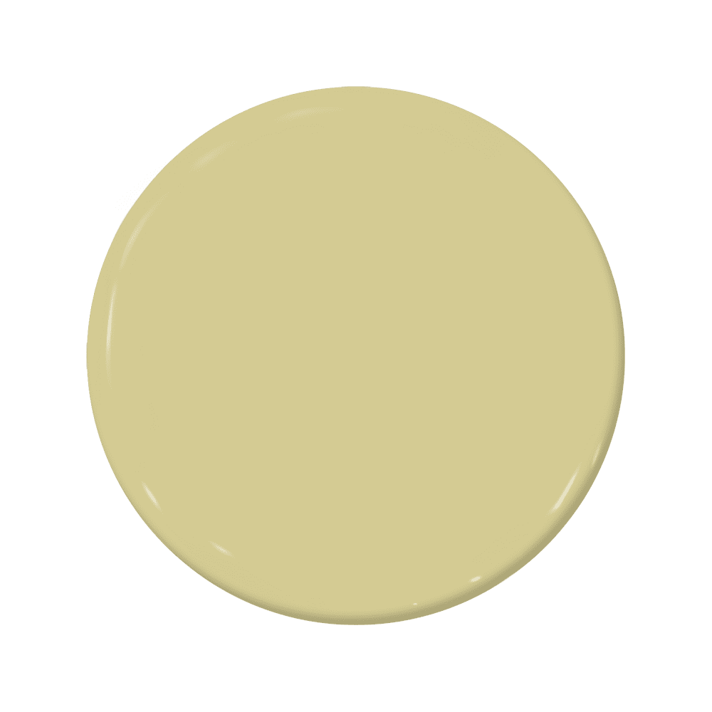Chameleon - C2-653-C2 Paint