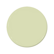 Kiwi - C2-655-C2 Paint