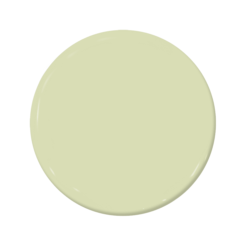 Kiwi - C2-655-C2 Paint
