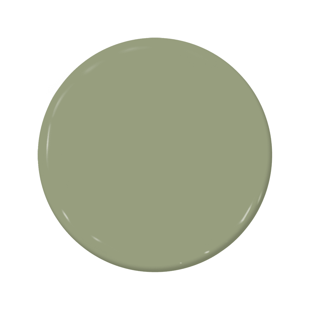 Saguaro - C2-665-C2 Paint