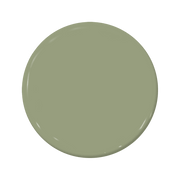 Saguaro - C2-665-C2 Paint