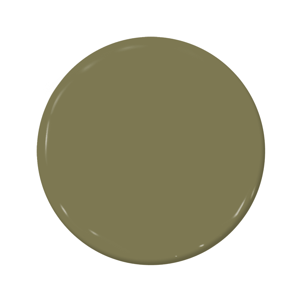 Fern - C2-663-C2 Paint