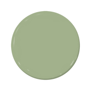 Wasabi - C2-666-C2 Paint