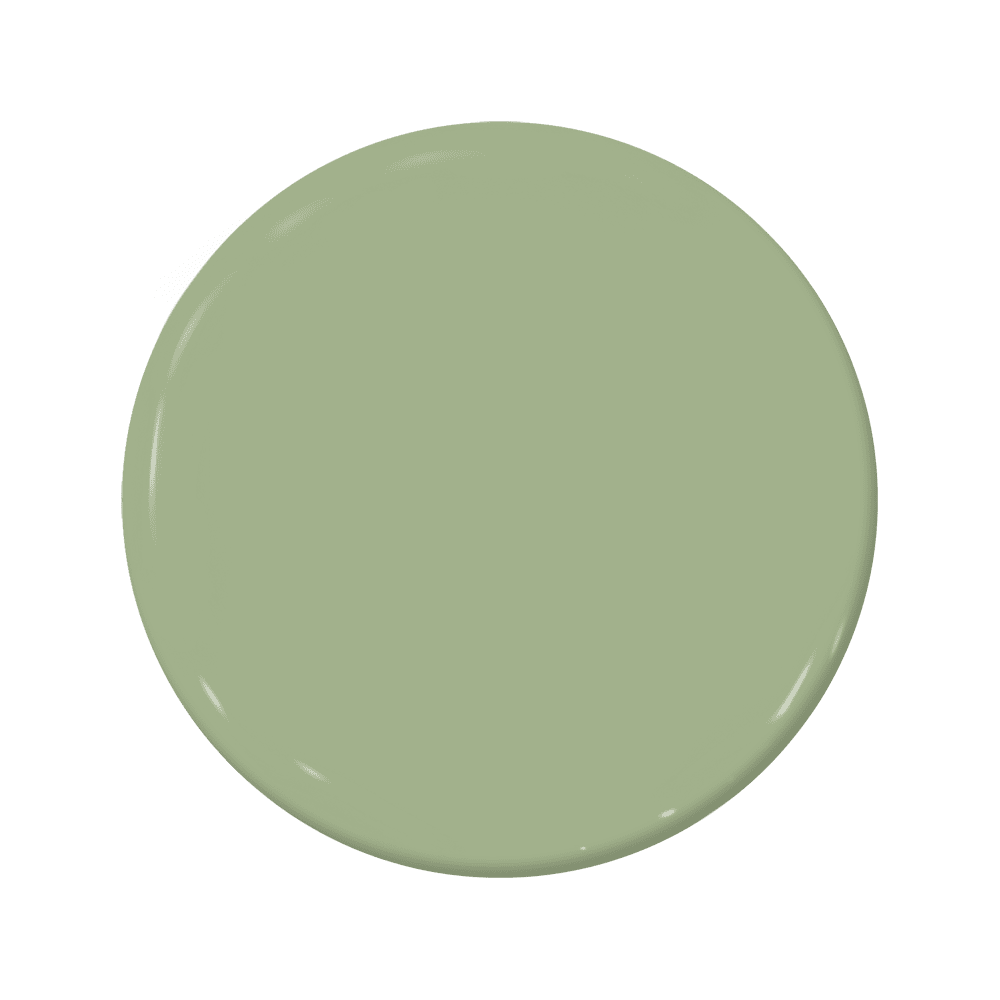 Wasabi - C2-666-C2 Paint