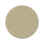 Switch - C2-667-C2 Paint