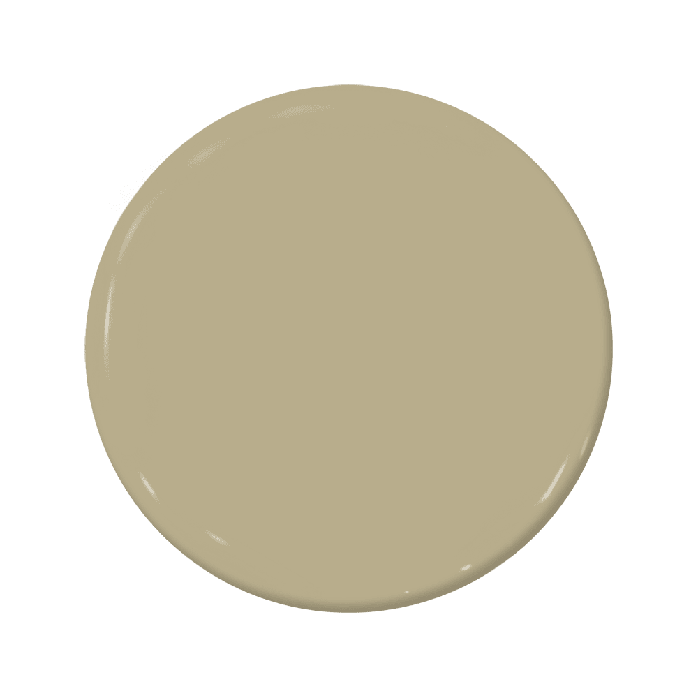 Switch - C2-667-C2 Paint