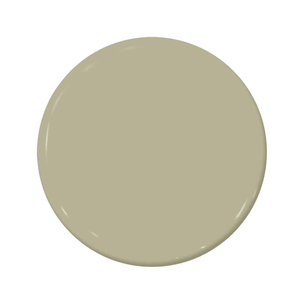 Serendipity - C2-668-C2 Paint