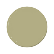 Outback - C2-669-C2 Paint
