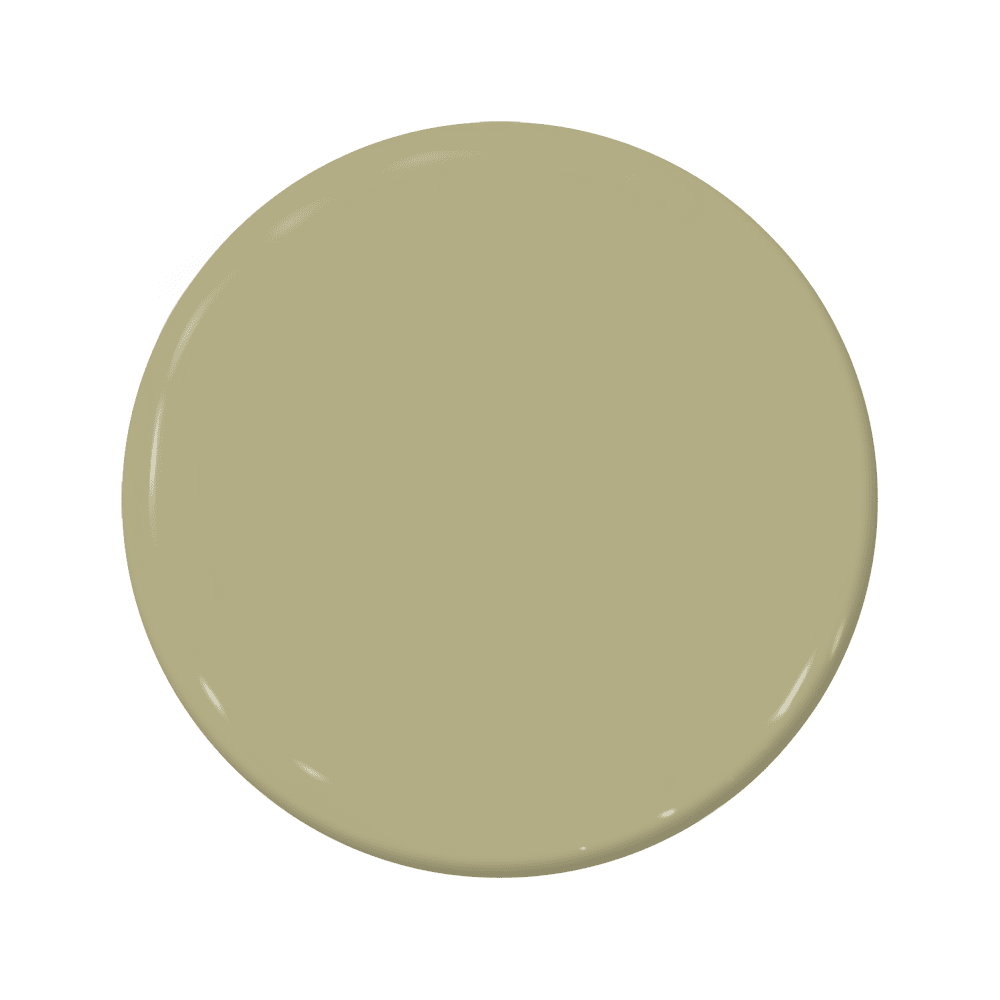 Outback - C2-669-C2 Paint