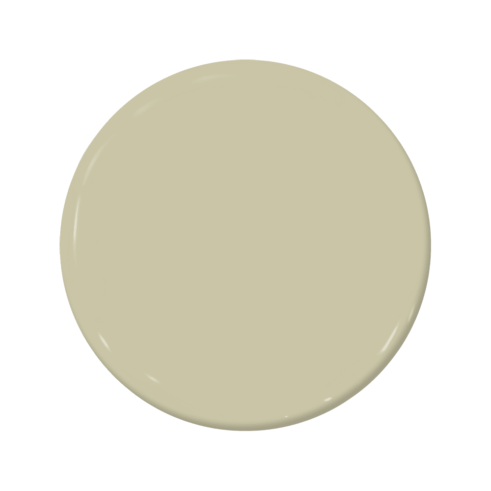 New Leaf - C2-670-C2 Paint