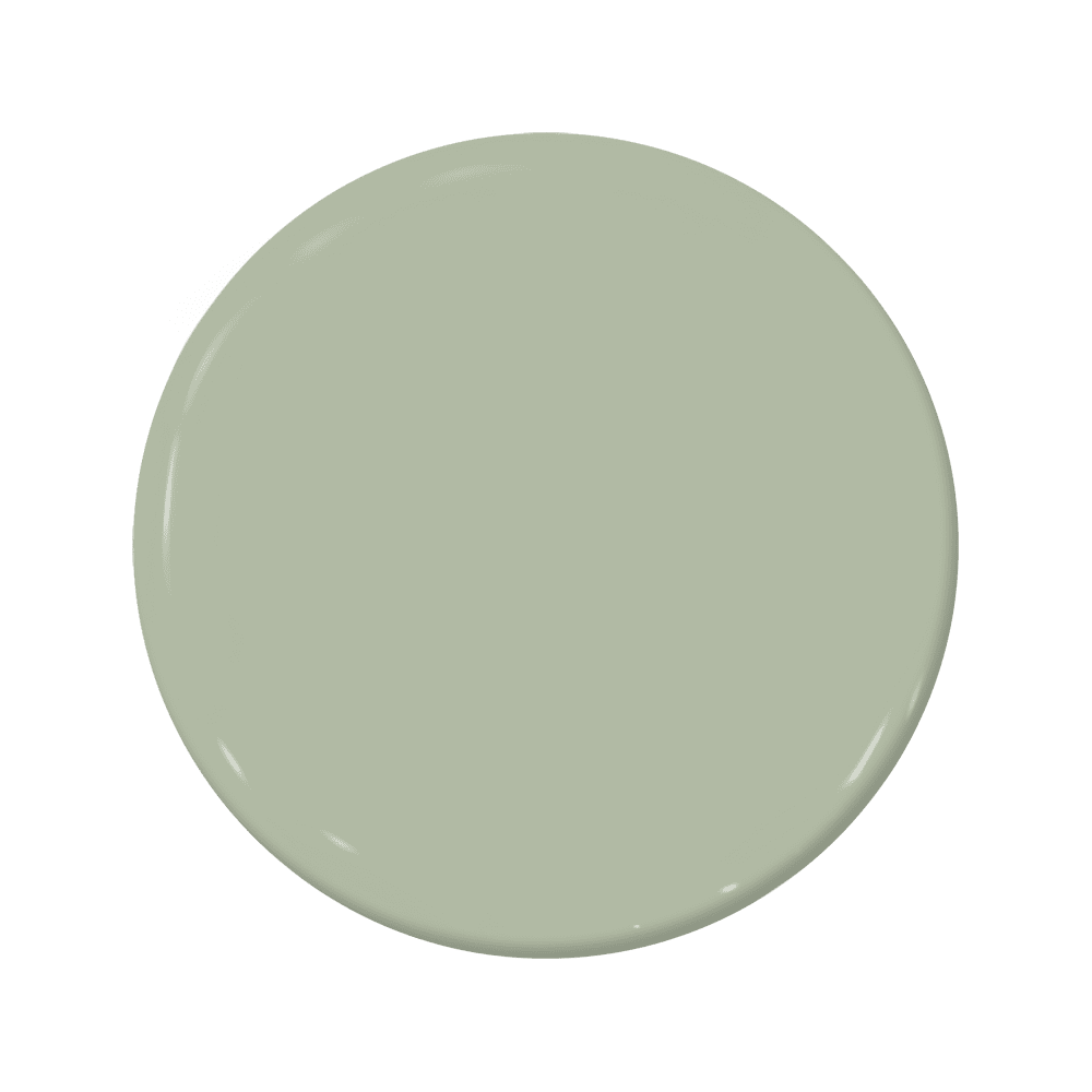Balsam - C2-684-C2 Paint