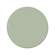 Balsam - C2-684-C2 Paint