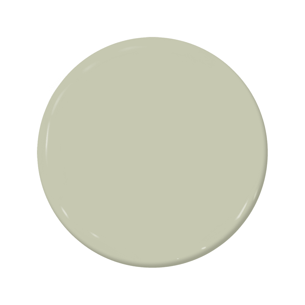 Leap Year - C2-687-C2 Paint