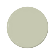 Leap Year - C2-687-C2 Paint