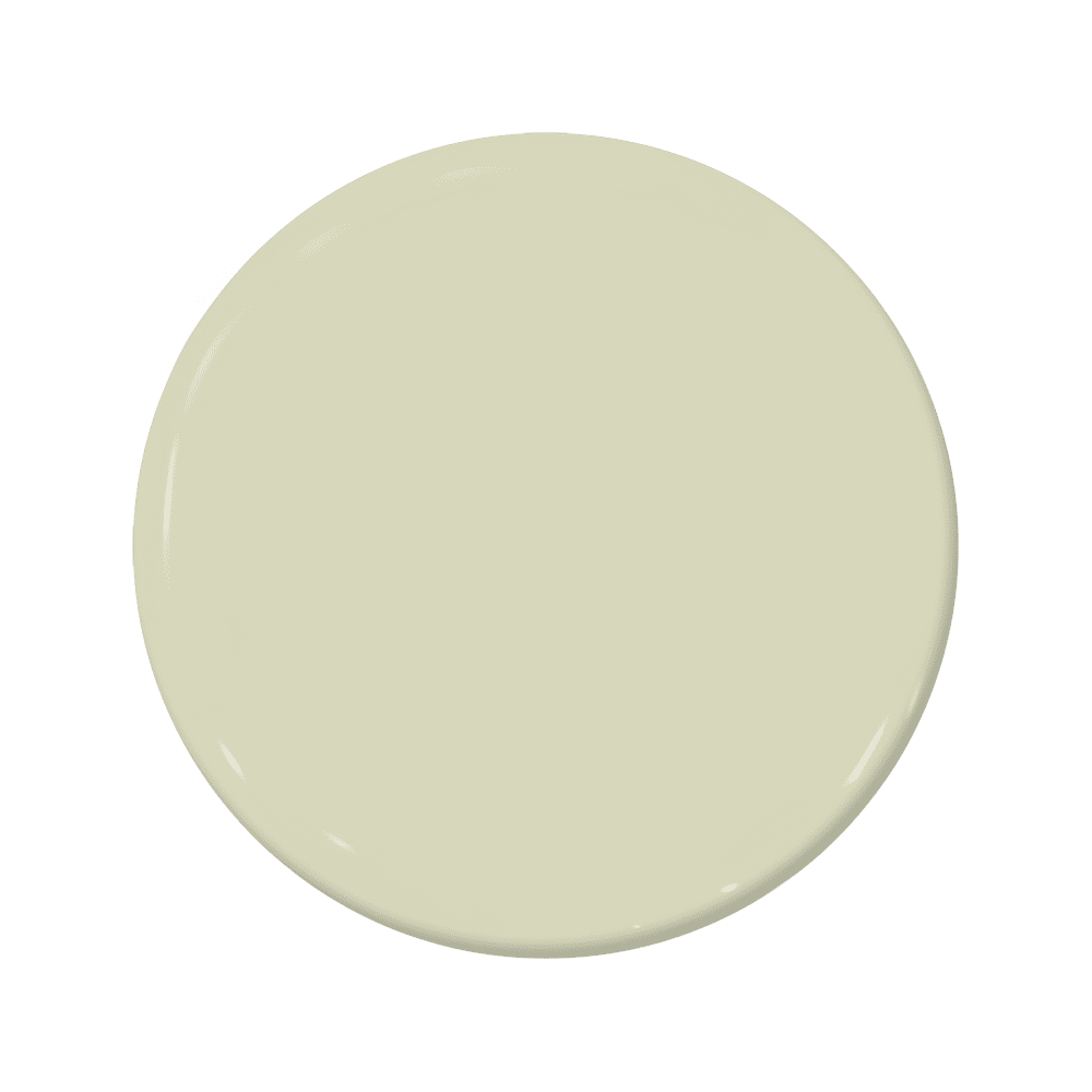 Seedling - C2-689-C2 Paint