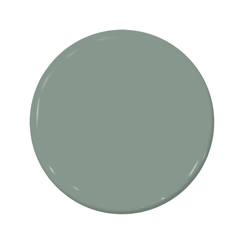 Puck - C2-697-C2 Paint